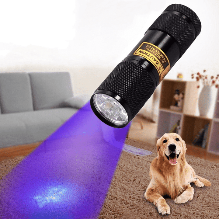 21 LED UV Pocket Flashlight for Home and Travel Use
