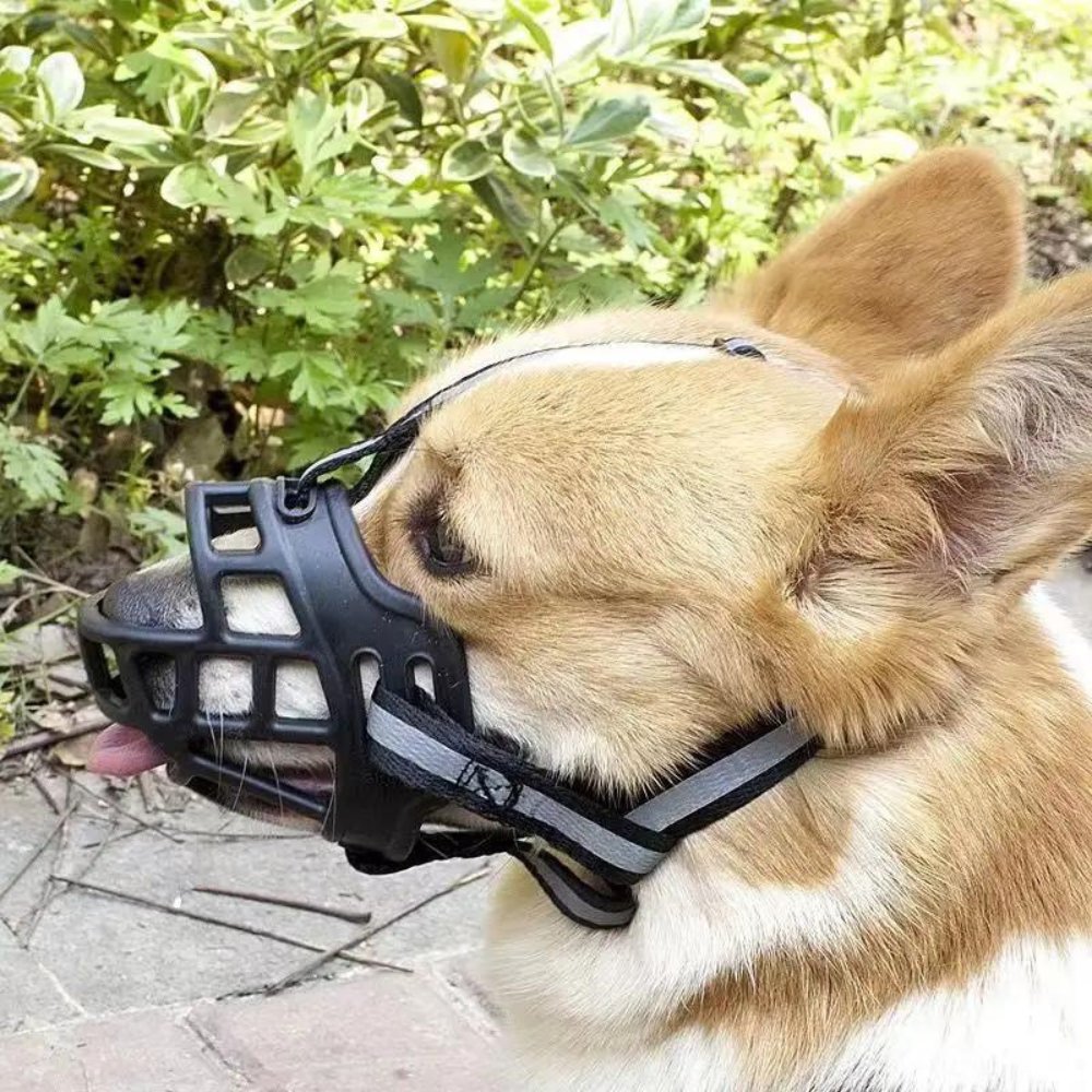 Adjustable Dog Muzzle for Safe Canine Training and Control