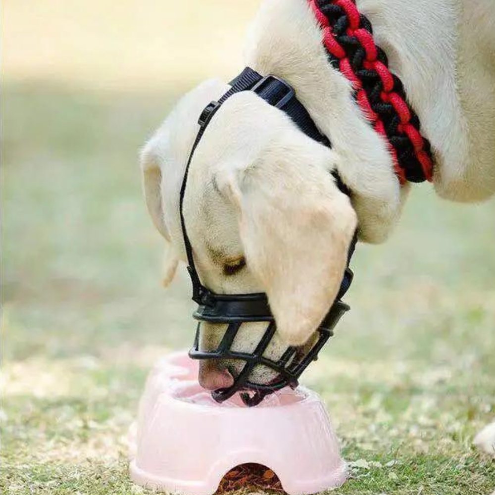 Adjustable Dog Muzzle for Safe Canine Training and Control