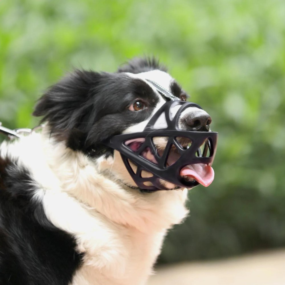 Adjustable Nylon Dog Muzzle for Safety and Training