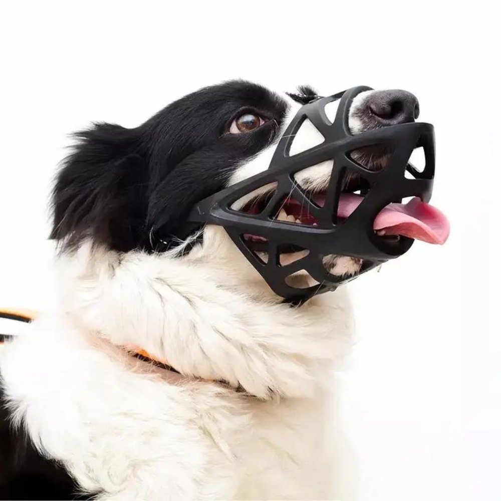 Adjustable Nylon Dog Muzzle for Safety and Training