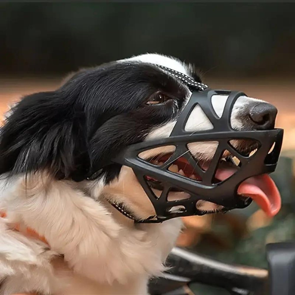 Adjustable Nylon Dog Muzzle for Safety and Training