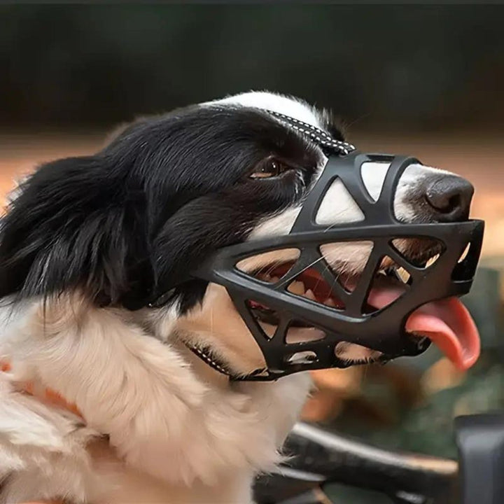 Adjustable Nylon Dog Muzzle for Safety and Training