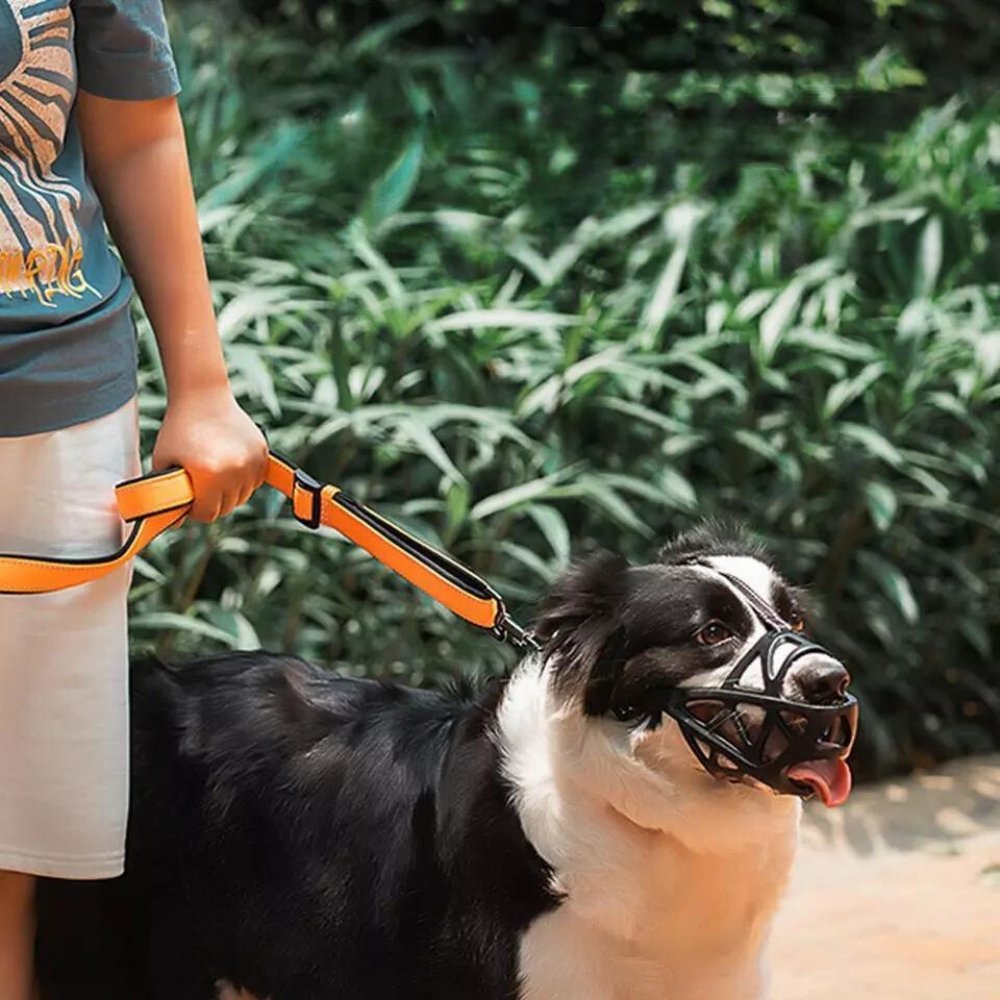 Adjustable Nylon Dog Muzzle for Safety and Training