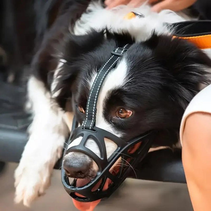 Adjustable Nylon Dog Muzzle for Safety and Training