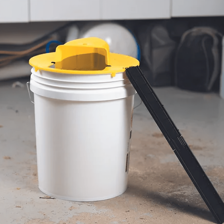 Automatic Mouse Trap for Quick Rodent Catching