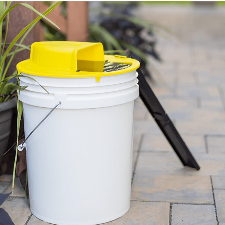 Automatic Mouse Trap for Quick Rodent Catching