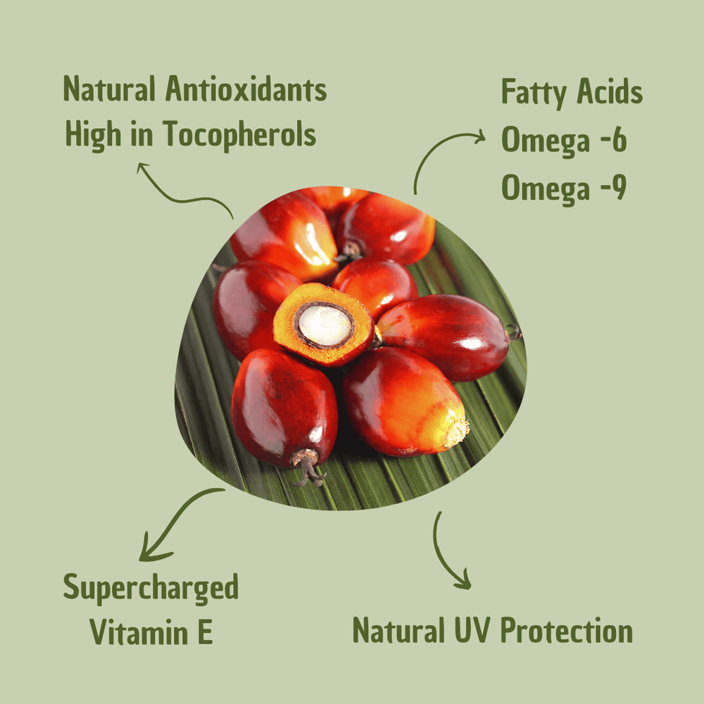 Batana Hair Oil Eco-Friendly Hair Care Treatment