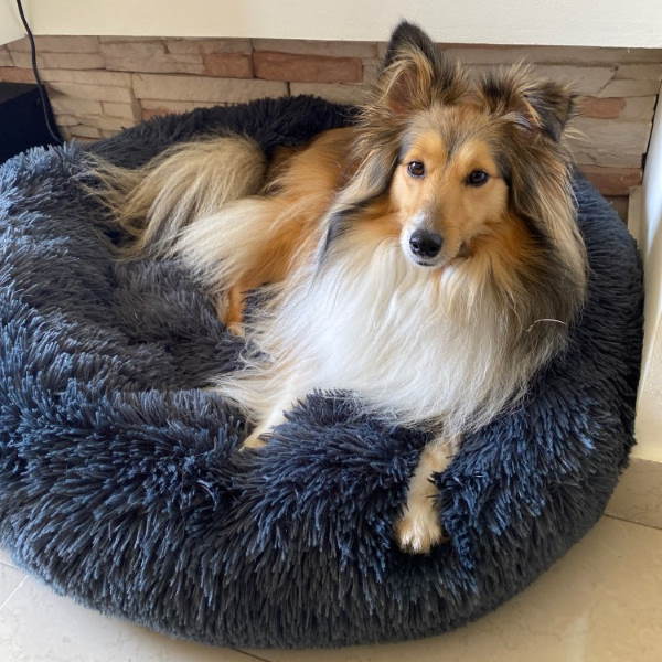 Calming Circular Dog Bed with Removable Cover