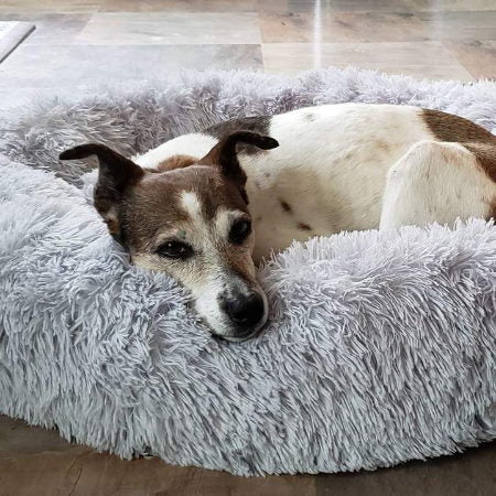 Calming Circular Dog Bed with Removable Cover