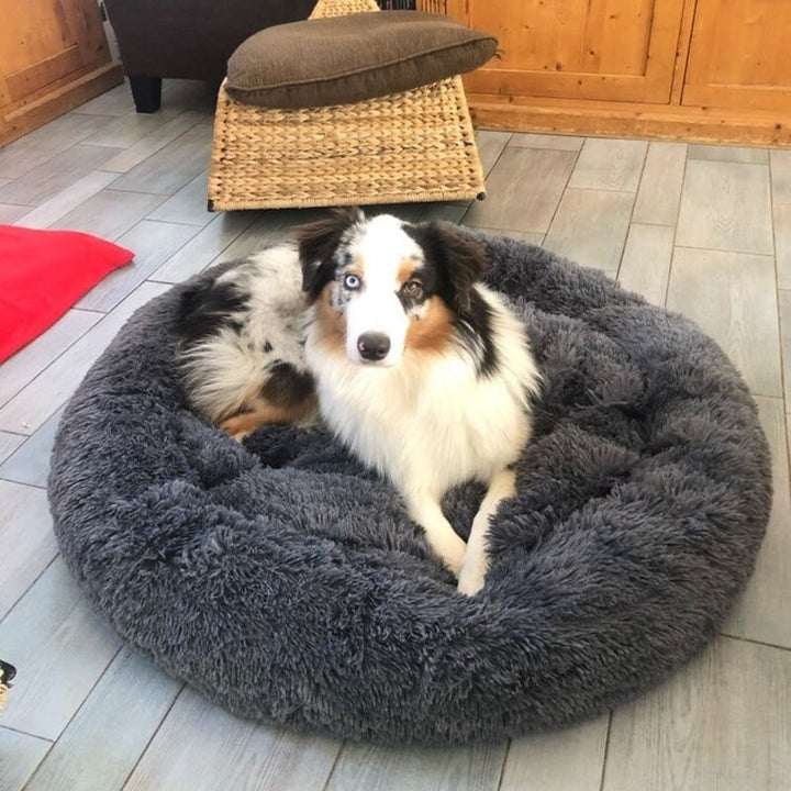 Calming Circular Dog Bed with Removable Cover