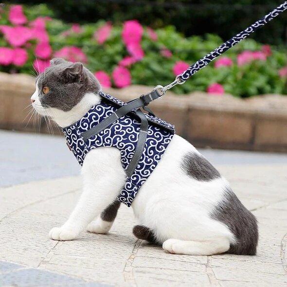 Cat Harness for Secure and Comfortable Walking