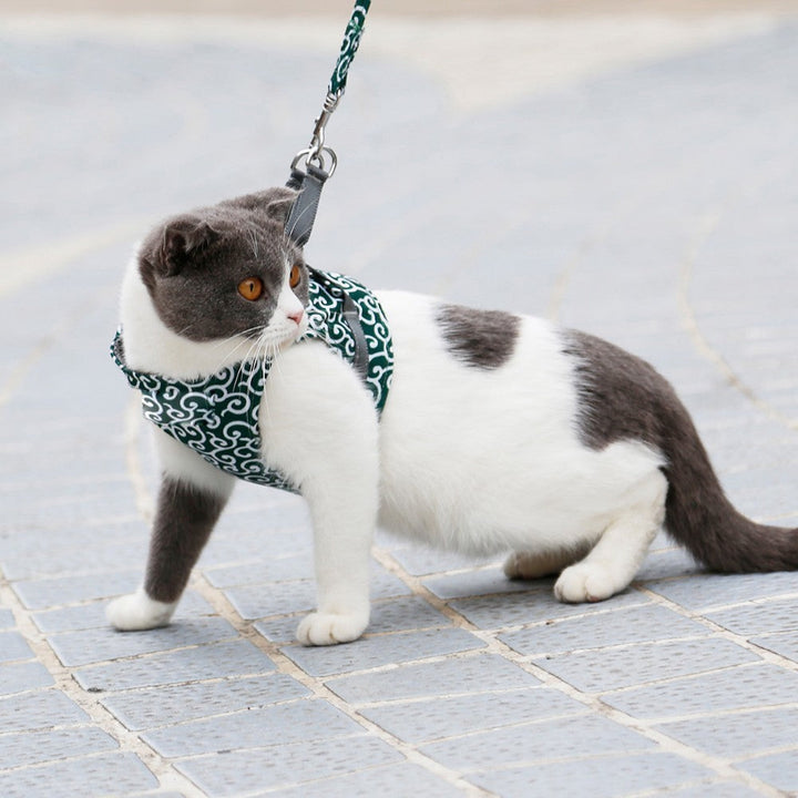 Cat Harness for Secure and Comfortable Walking