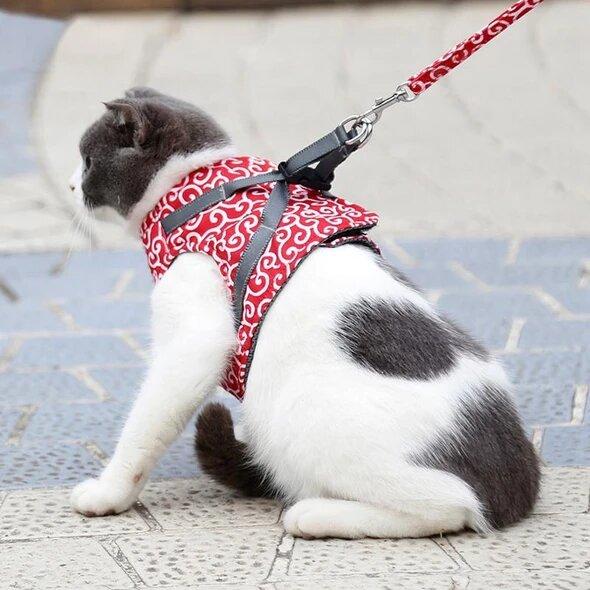 Cat Harness for Secure and Comfortable Walking