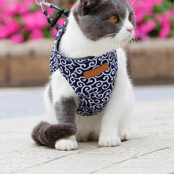 Cat Harness for Secure and Comfortable Walking