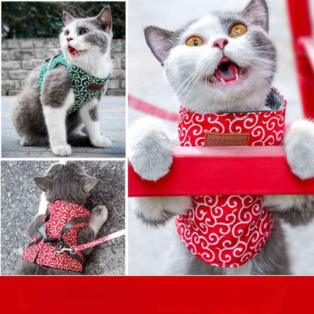 Cat Harness for Secure and Comfortable Walking