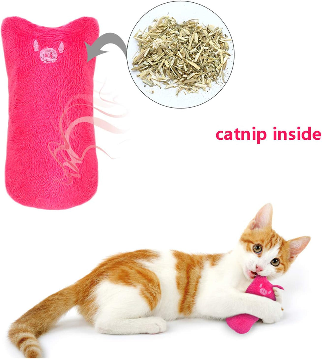 Catnip Mice Toys for Cats - 5 Pack Chew and Teething Toys
