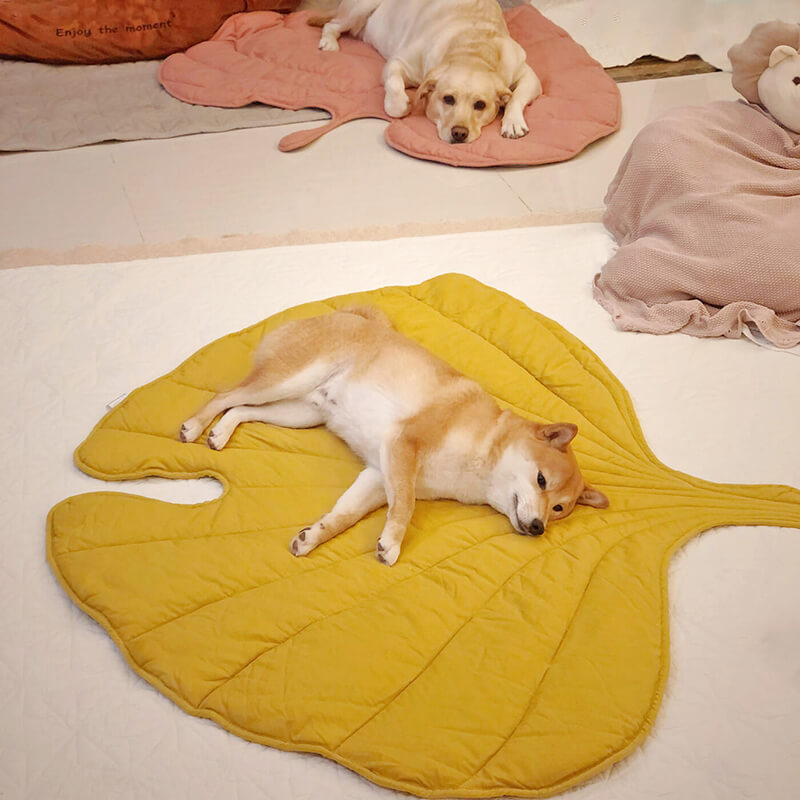 Dog Blanket for Large Dogs