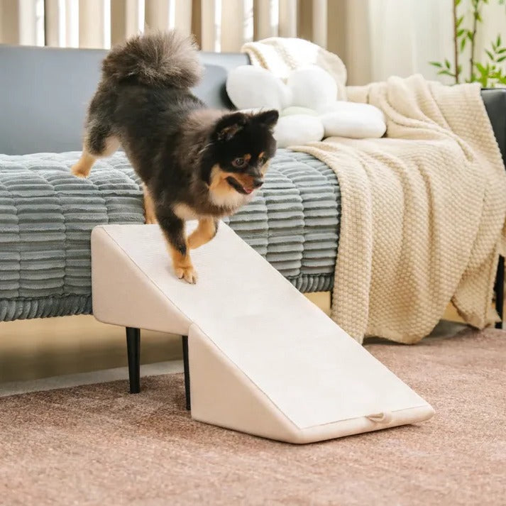 Dog Ramp and Step Stool 2-in-1 for Pets