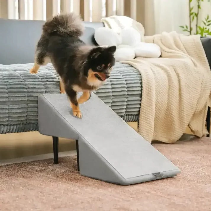 Dog Ramp and Step Stool 2-in-1 for Pets