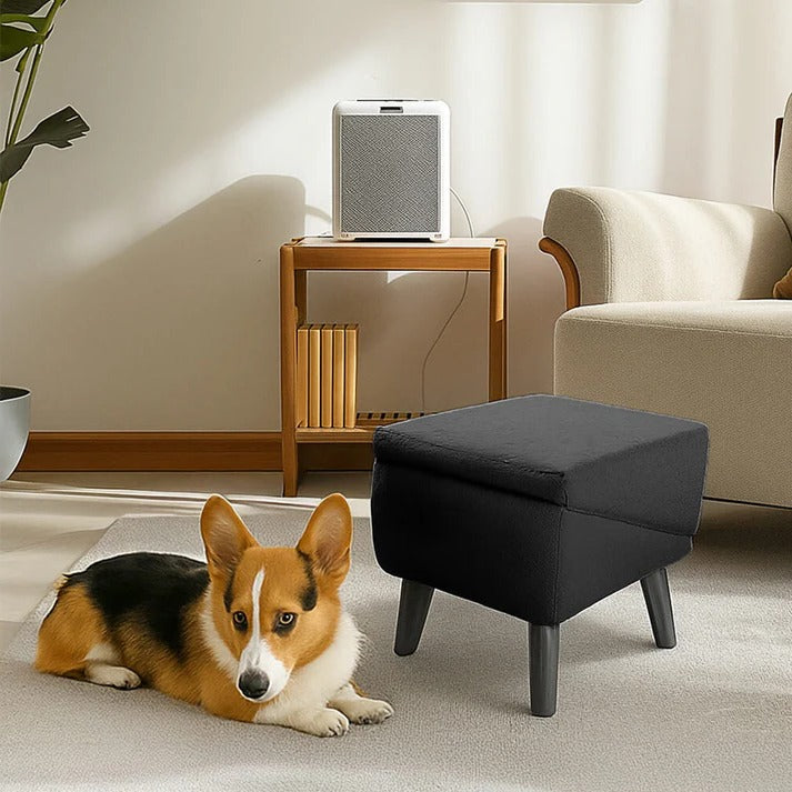 Dog Ramp and Step Stool 2-in-1 for Pets