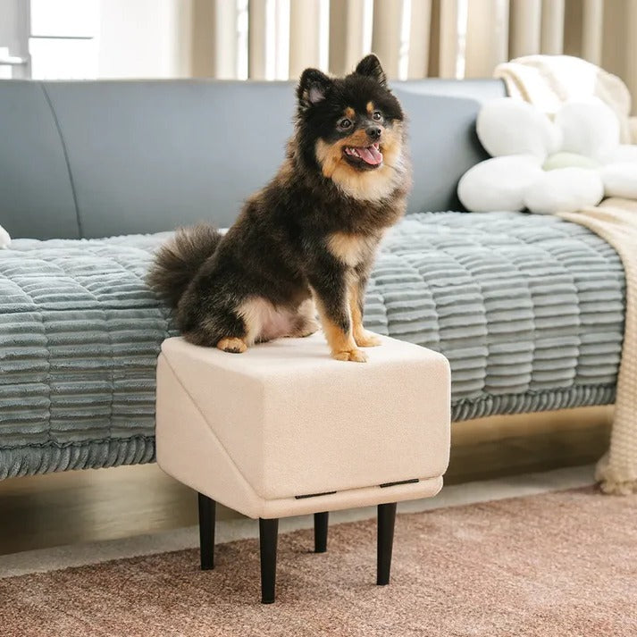 Dog Ramp and Step Stool 2-in-1 for Pets