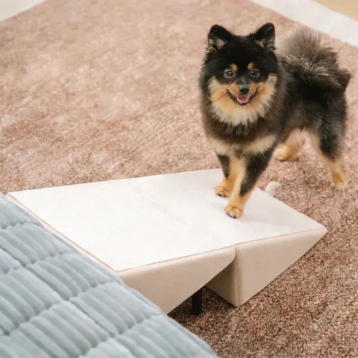 Dog Ramp and Step Stool 2-in-1 for Pets