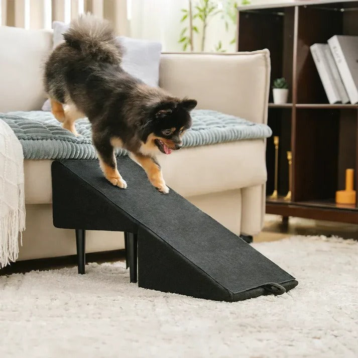 Dog Ramp and Step Stool 2-in-1 for Pets