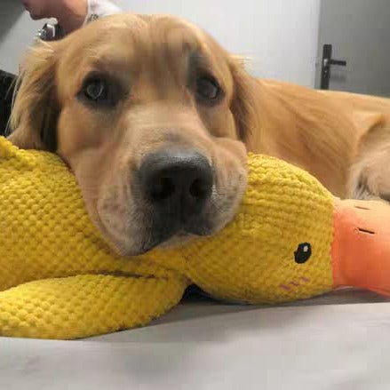 Dog Toy Duck for Fetch and Play