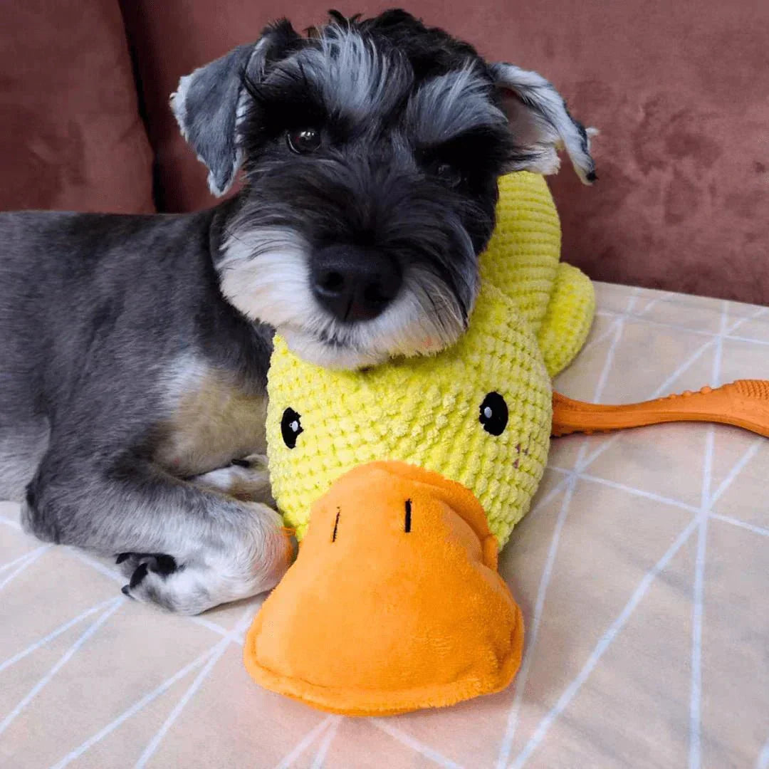 Dog Toy Duck for Fetch and Play