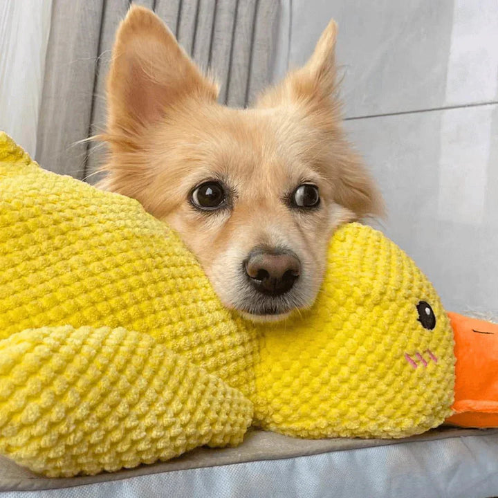 Dog Toy Duck for Fetch and Play