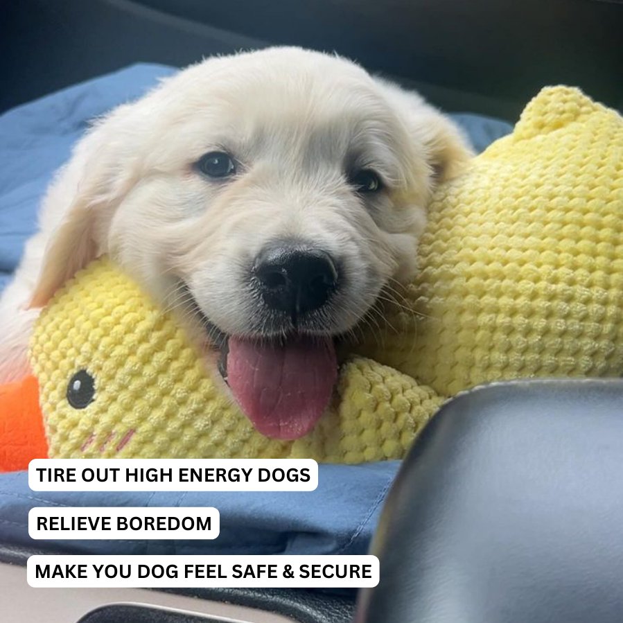 Dog Toy Duck for Fetch and Play