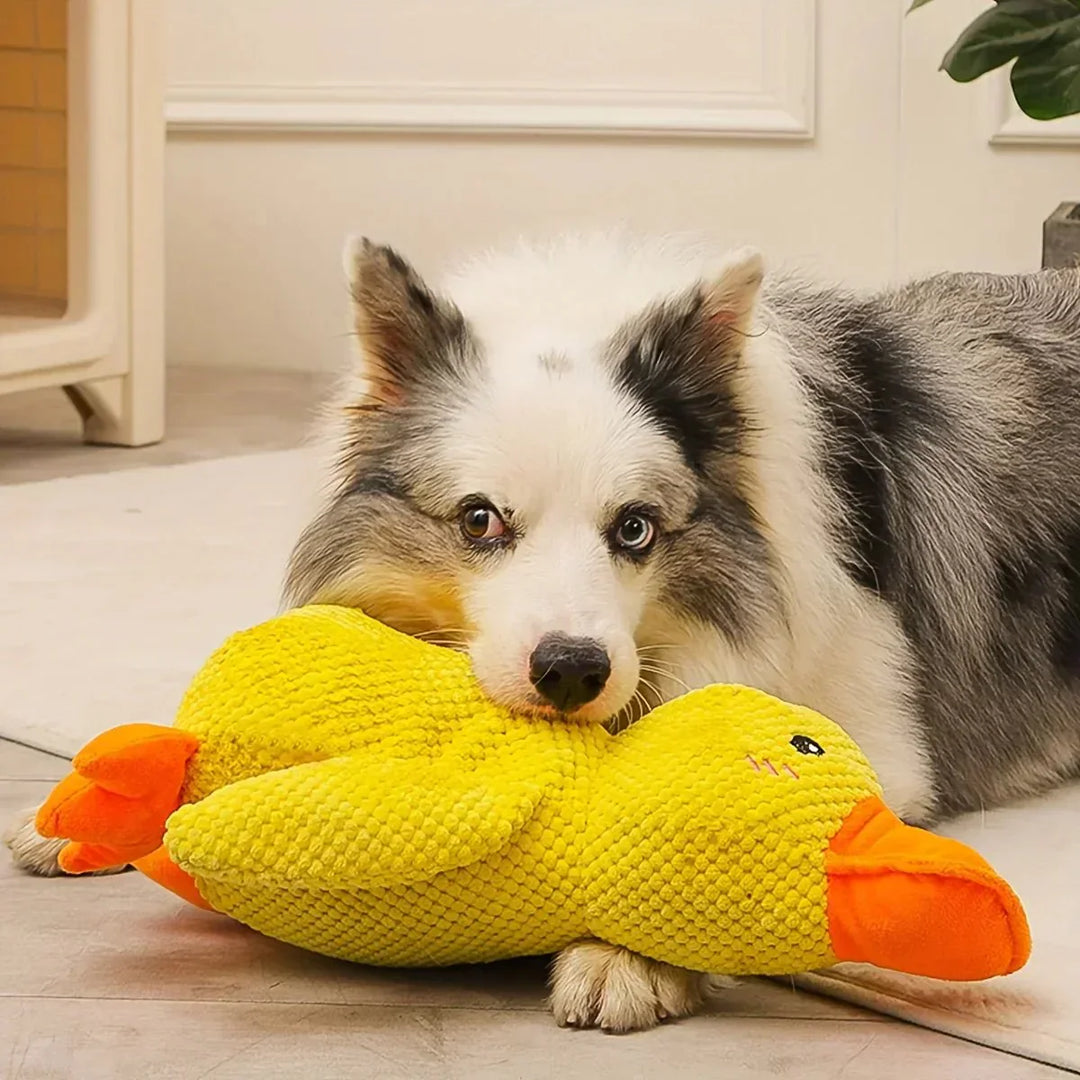 Dog Toy Duck for Fetch and Play