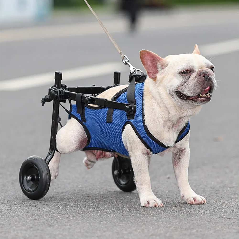 Dog Wheelchair for Hind Leg Support Adjustable Pet Mobility Aid