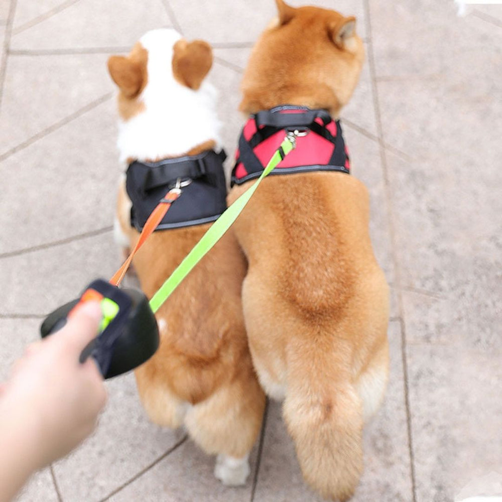 Double Dog Leash with Anti-Tangle Connector for Walking Two Dogs
