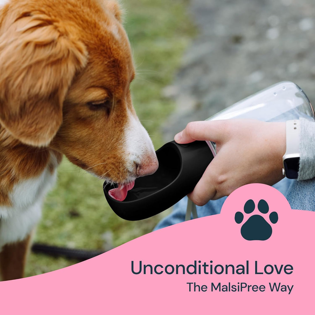 Portable Dog Water Bottle 19 oz for Outdoor Travel and Hiking