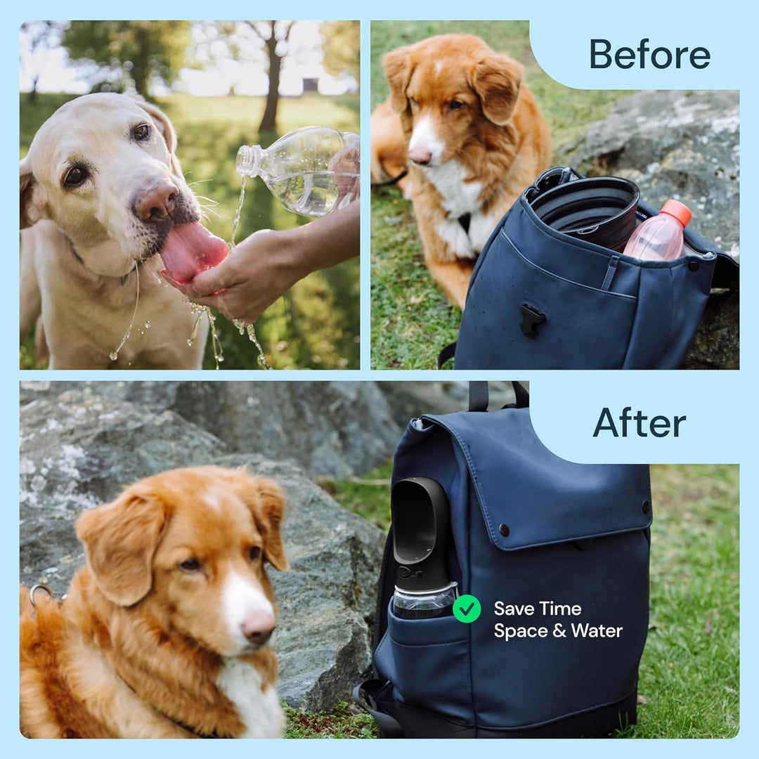 Portable Dog Water Bottle 19 oz for Outdoor Travel and Hiking