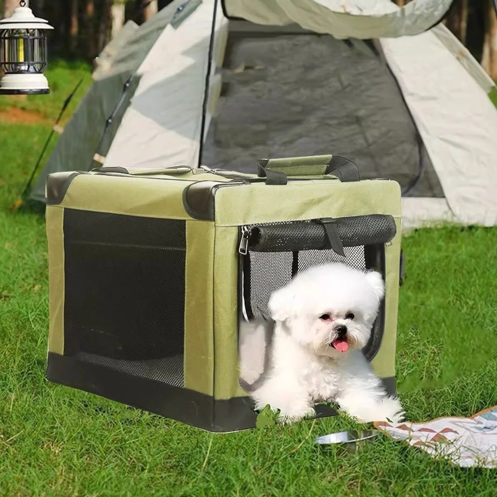 Portable Folding Pet Carrier for Cats and Dogs
