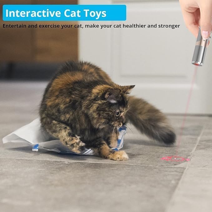 Rechargeable Laser Light Cat Toy for Interactive Play
