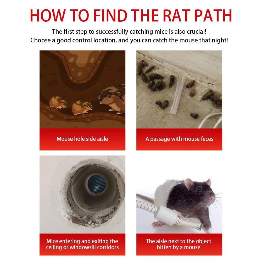 Reusable Mouse Trap Cage with Sliding Door for Pest Control