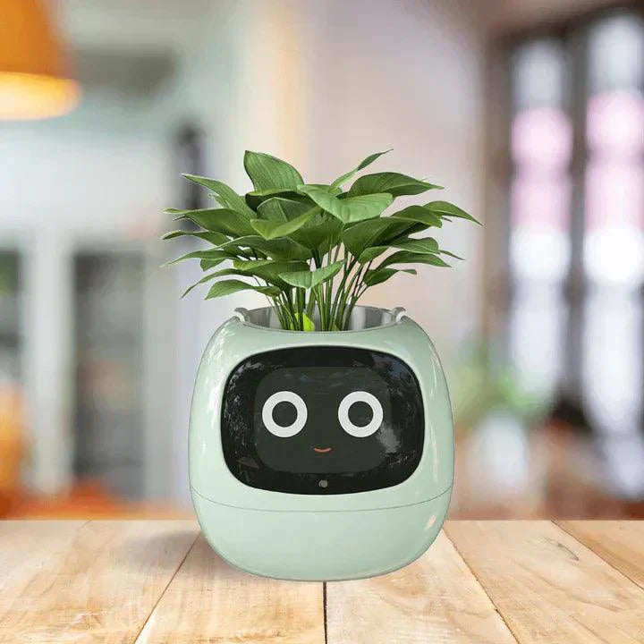 Self-Watering Indoor Plant Pot for Home and Office Use