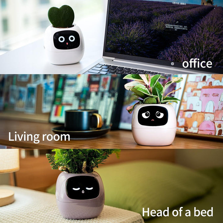 Self-Watering Indoor Plant Pot for Home and Office Use