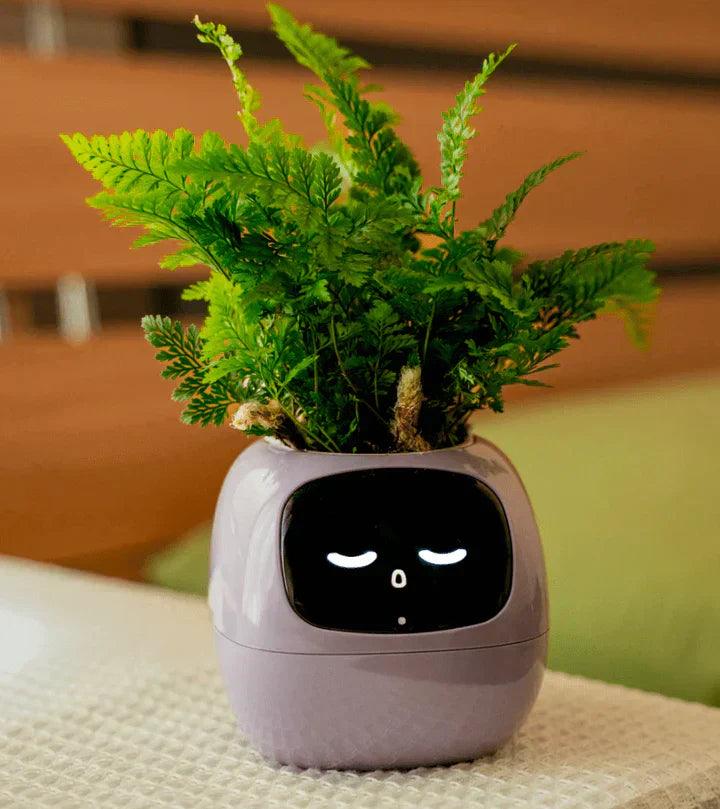 Self-Watering Indoor Plant Pot for Home and Office Use