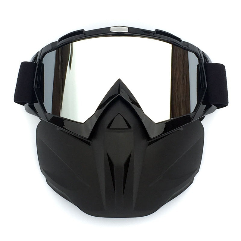 Ski Goggles with Anti-Fog and Windproof Features, Includes Storage Box