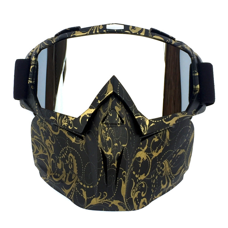 Ski Goggles with Anti-Fog and Windproof Features, Includes Storage Box