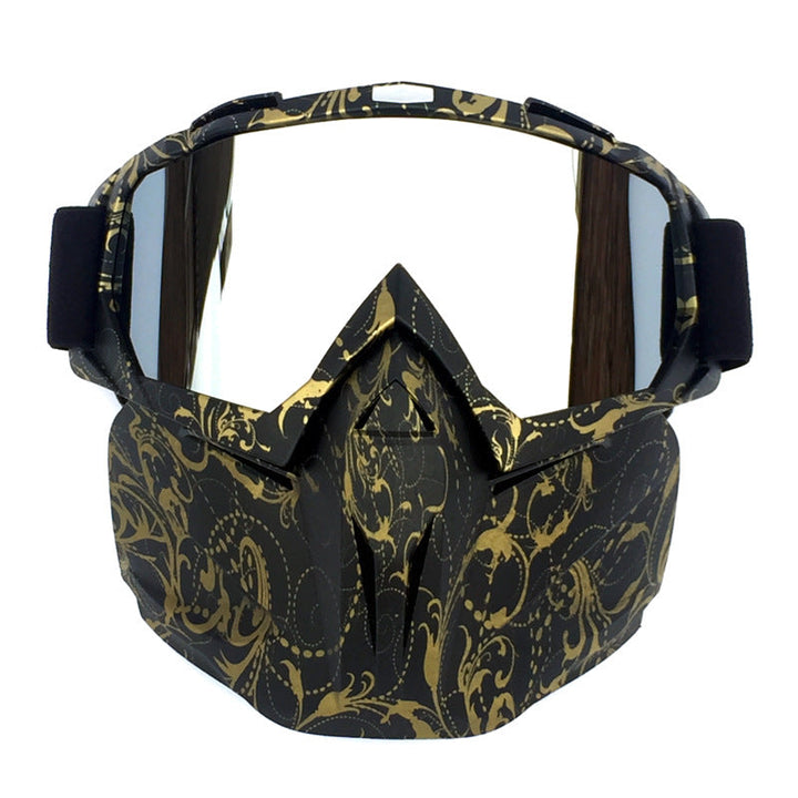 Ski Goggles with Anti-Fog and Windproof Features, Includes Storage Box