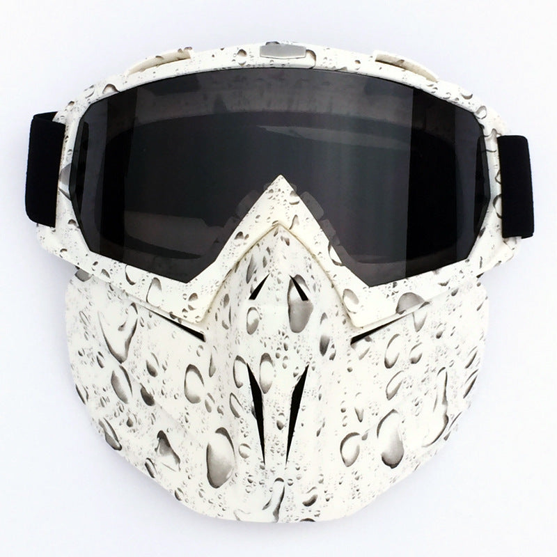 Ski Goggles with Anti-Fog and Windproof Features, Includes Storage Box