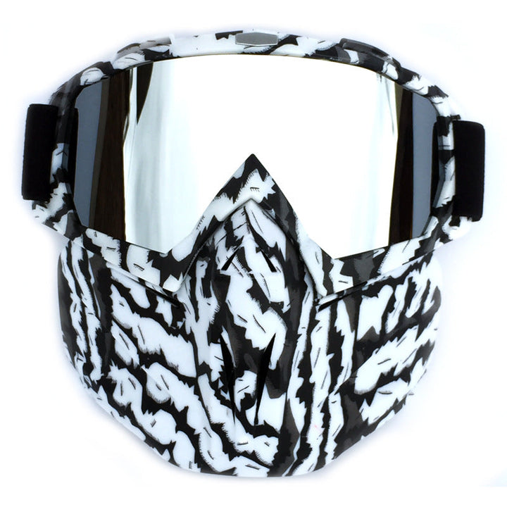 Ski Goggles with Anti-Fog and Windproof Features, Includes Storage Box