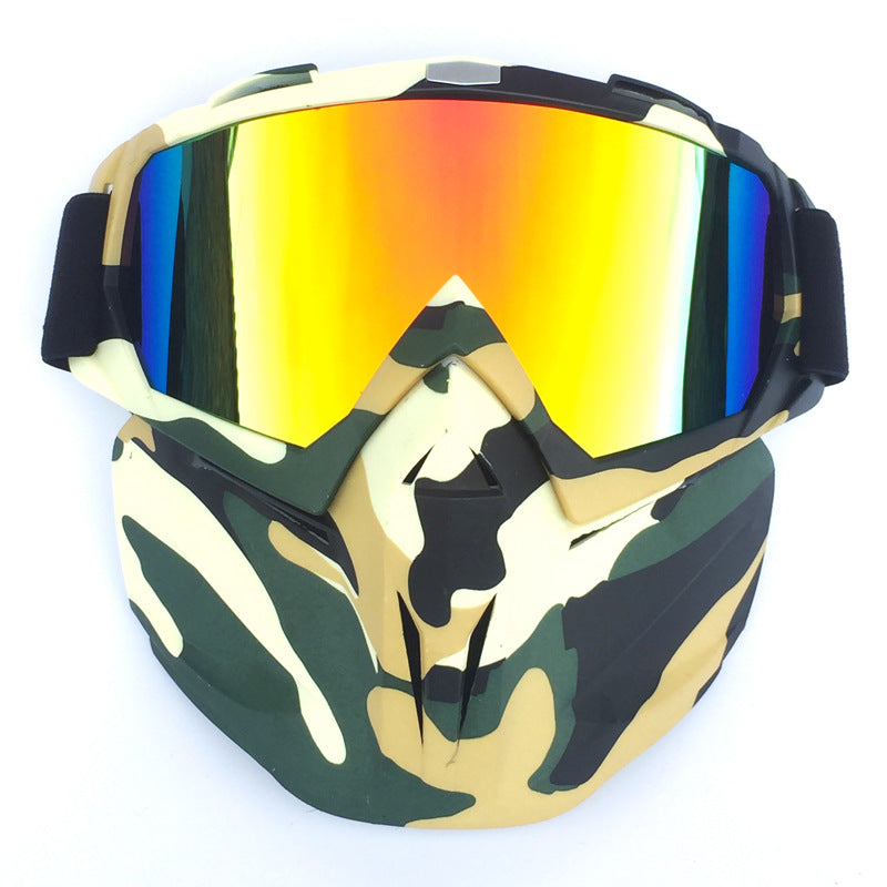 Ski Goggles with Anti-Fog and Windproof Features, Includes Storage Box