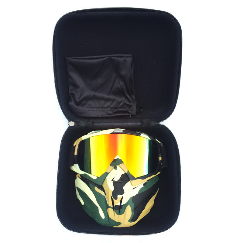 Ski Goggles with Anti-Fog and Windproof Features, Includes Storage Box